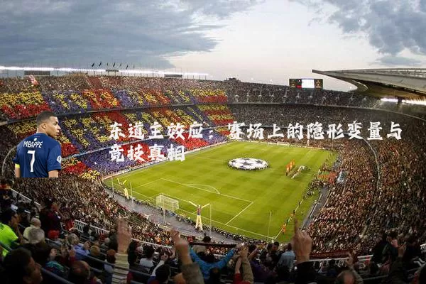 东道主效应：赛场上的隐形变量与竞技真相